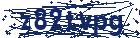 captcha here