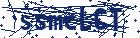 captcha here