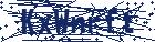 captcha here
