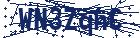 captcha here
