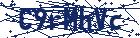 captcha here