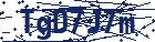 captcha here