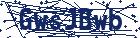 captcha here