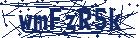 captcha here