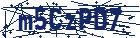 captcha here
