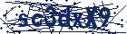 captcha here