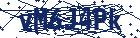 captcha here