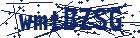 captcha here