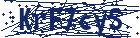 captcha here
