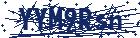 captcha here