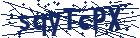 captcha here