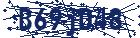 captcha here