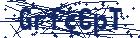 captcha here