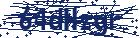 captcha here