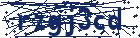 captcha here