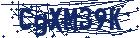 captcha here