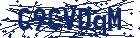 captcha here