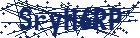 captcha here