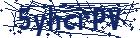 captcha here