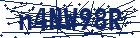 captcha here
