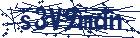 captcha here