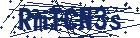captcha here